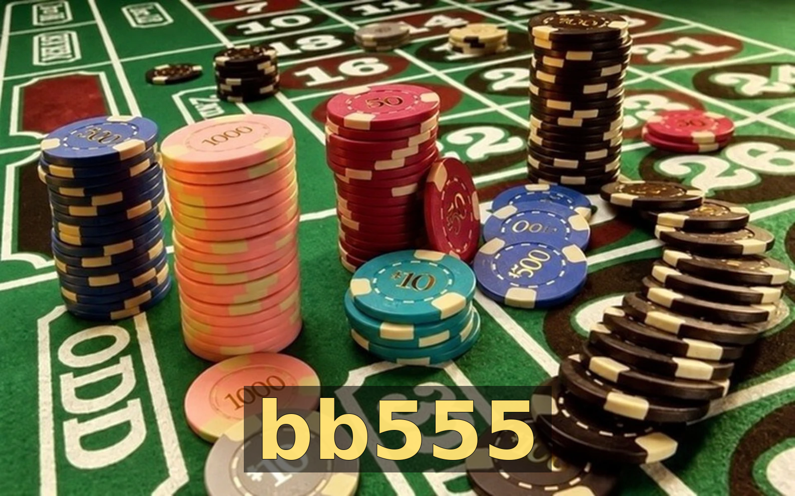 bb555 — destaque 2